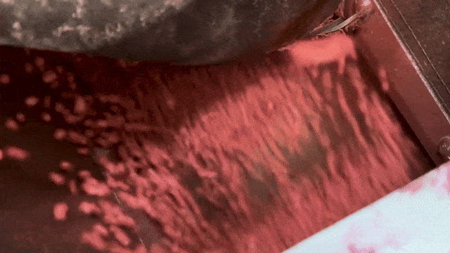 Seedcare