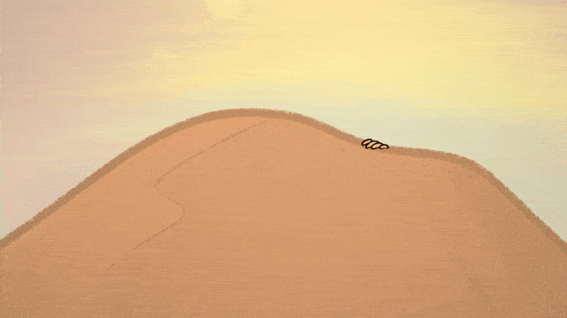 Dust To Dust