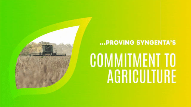 Syngenta Wrap